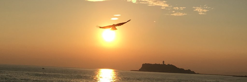 shochan暴食🐘🦫🩰 banner