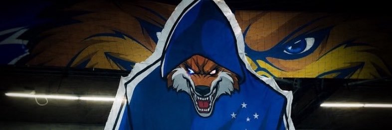 rayannebh93's profile banner image