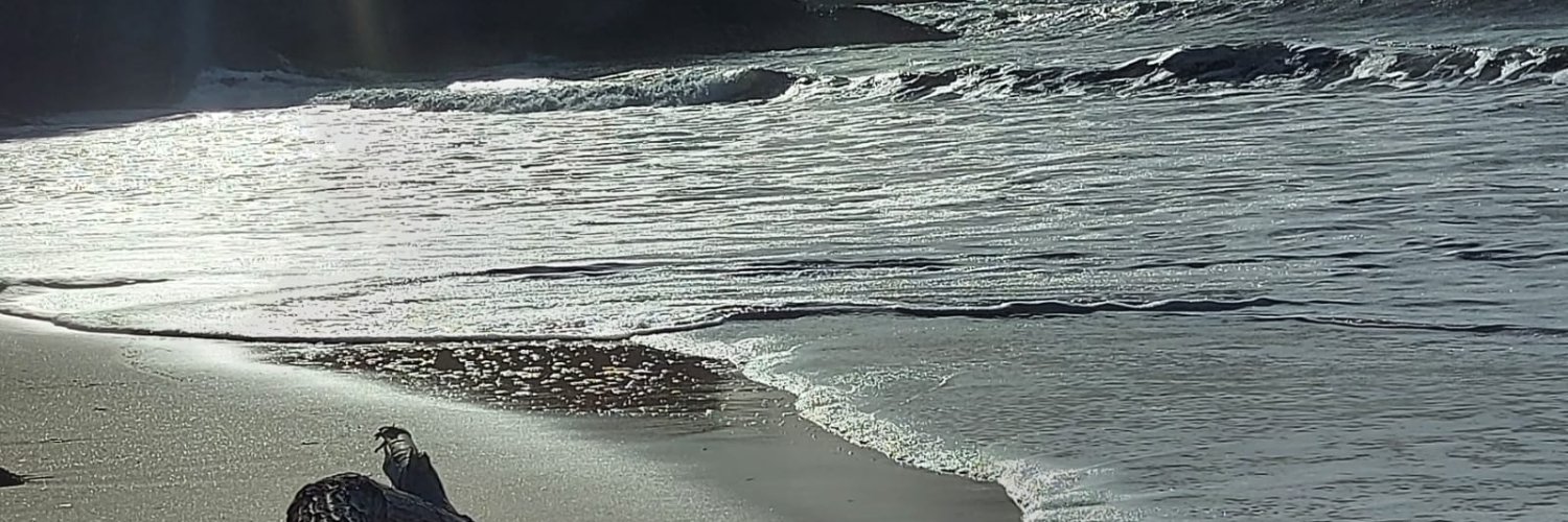 AlceBernal's profile banner image