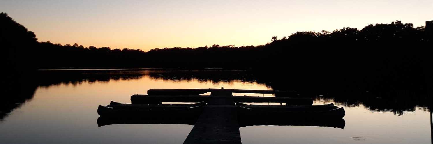 MaxwellSauber's profile banner image