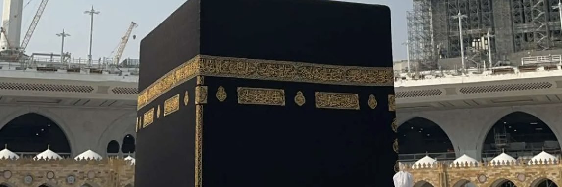 mush9951's profile banner image