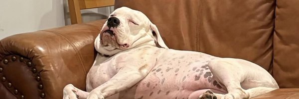 lazyfmp Profile Banner