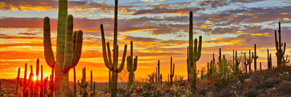 Xavier Richmond banner