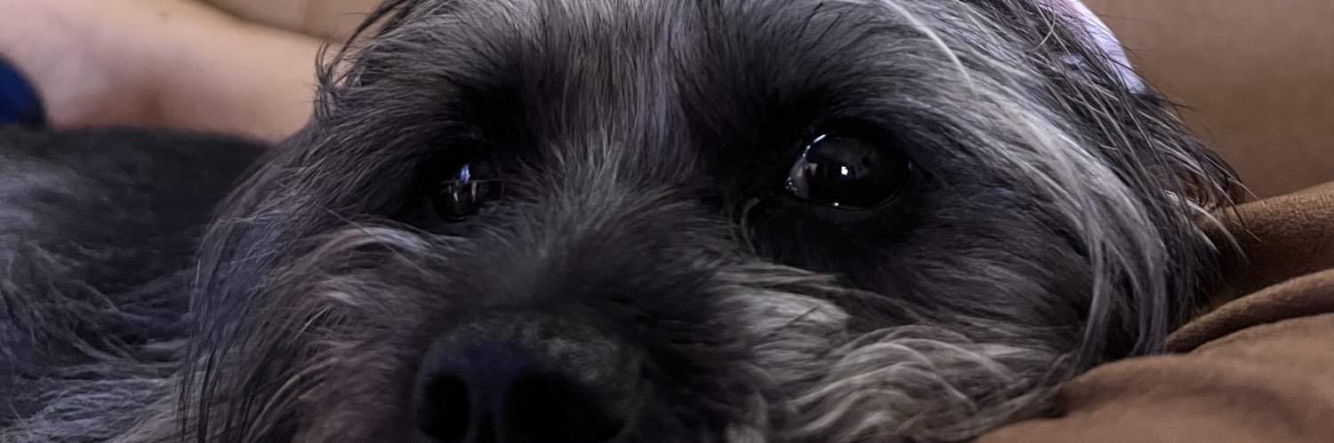 roseeyaness's profile banner image