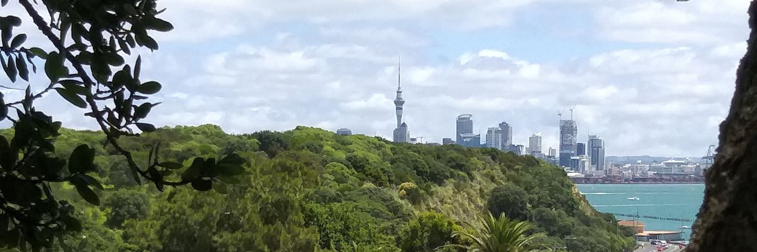 em93nz's profile banner image