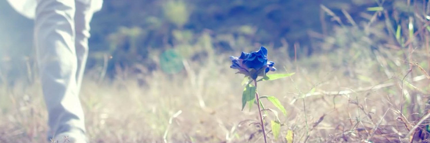 MoonClock_fuchi's profile banner image