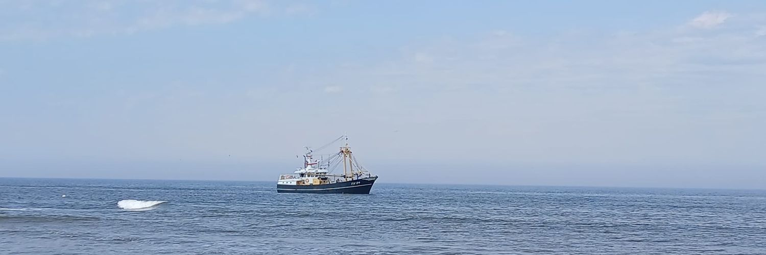 Ione Gelabert Etxaniz banner