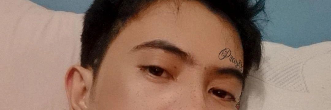 Xborg50354701's profile banner image