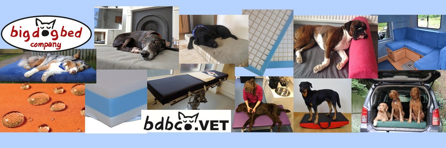 Big Dog Bed Company banner