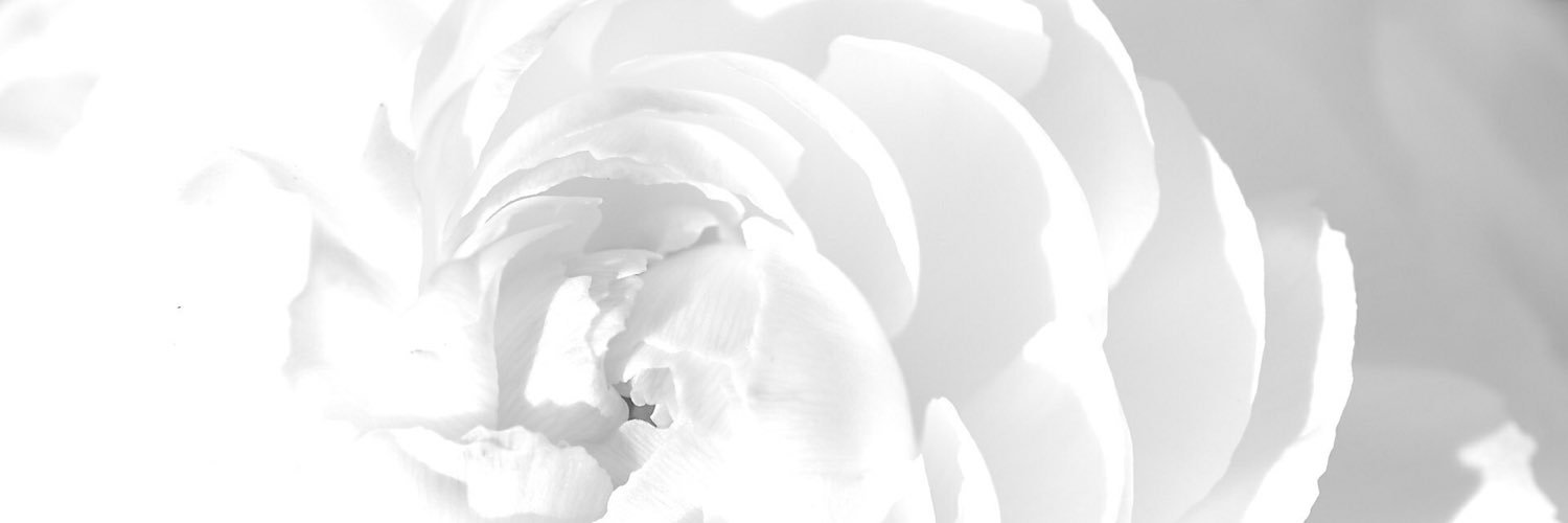 gnitgnij's profile banner image