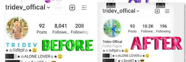 TheTridev Profile Banner