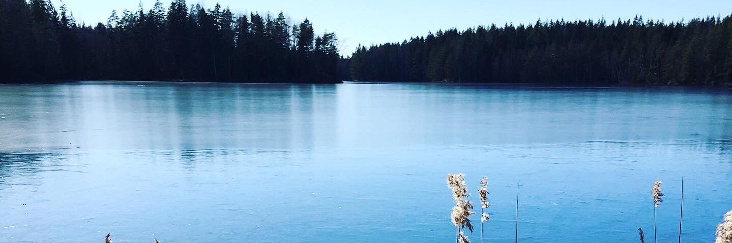Saija Männistö banner
