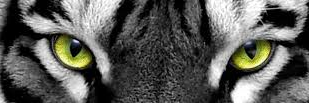 koskiks97's profile banner image