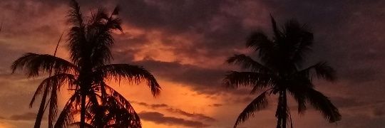 Zlfffffffffff's profile banner image