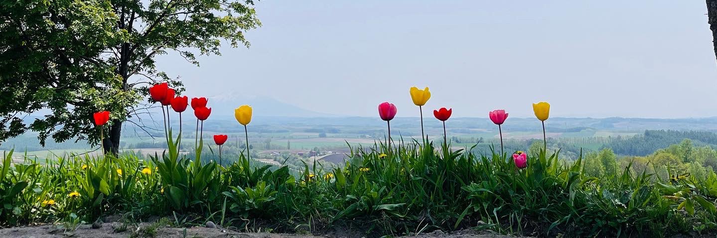 ayap_s's profile banner image