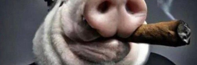 Skade_slh's profile banner image