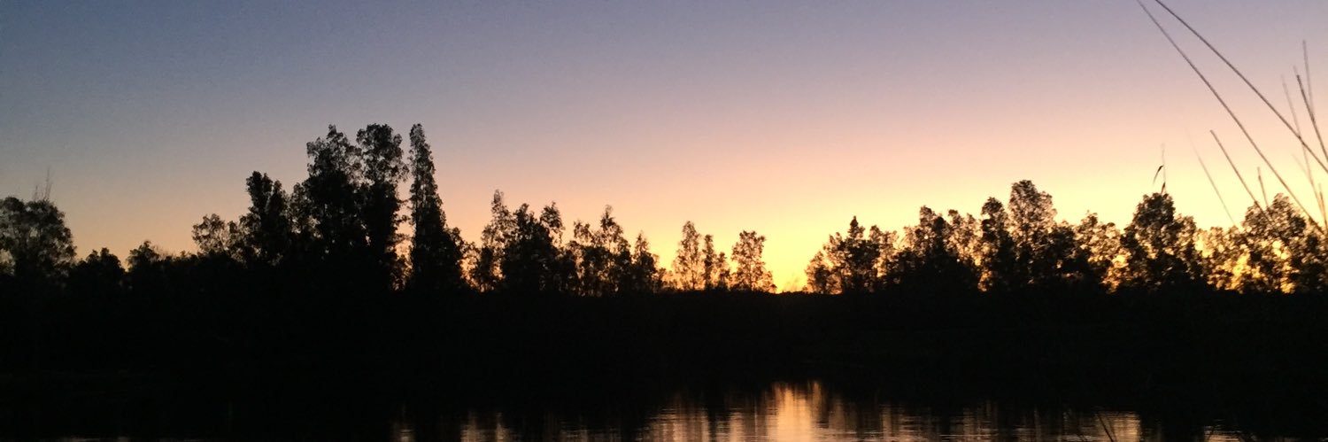 Elena🦋☀️ banner