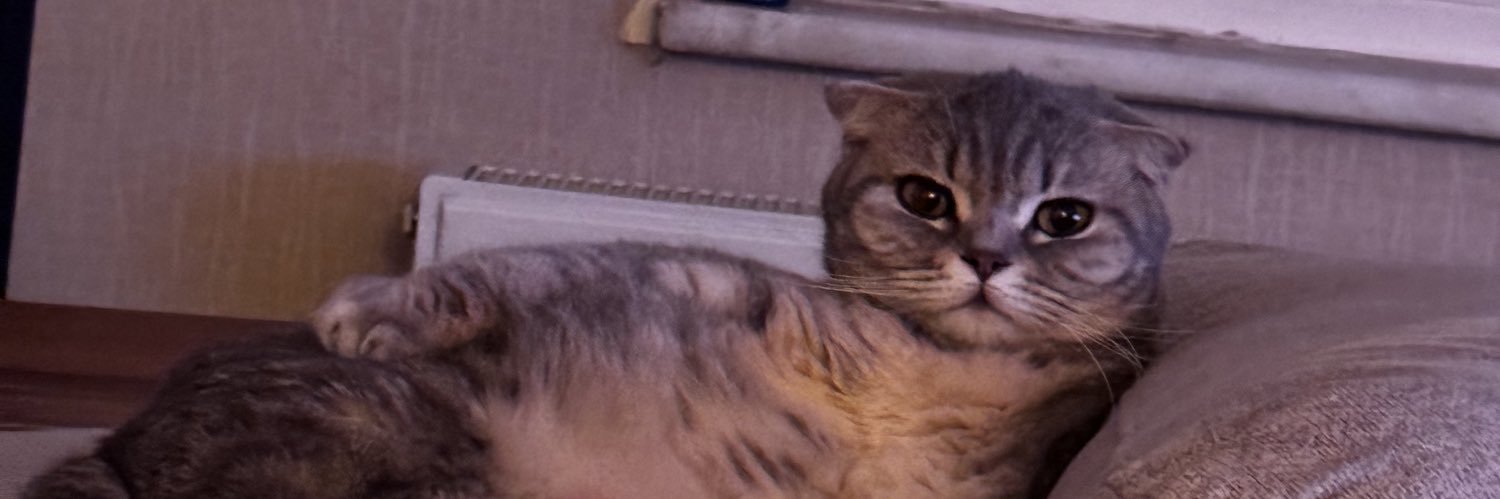 deltapsibetaa's profile banner image