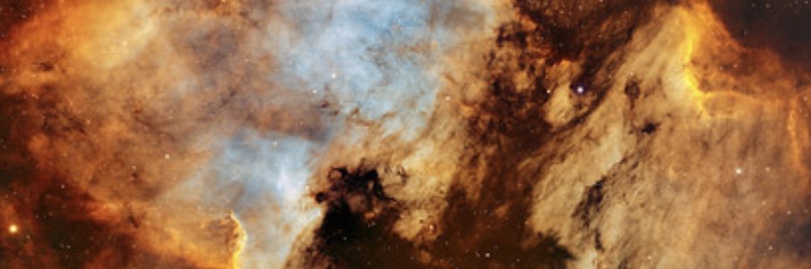 Roger Villarroya banner