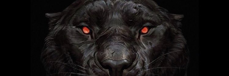 therealmdd's profile banner image