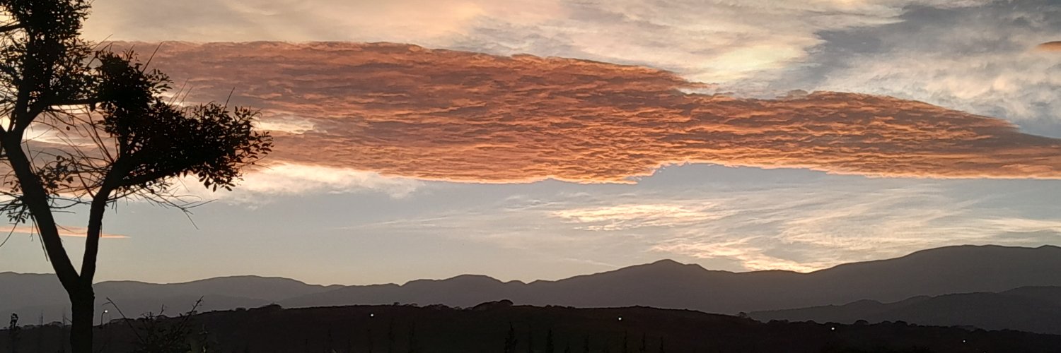 Federico Dada banner