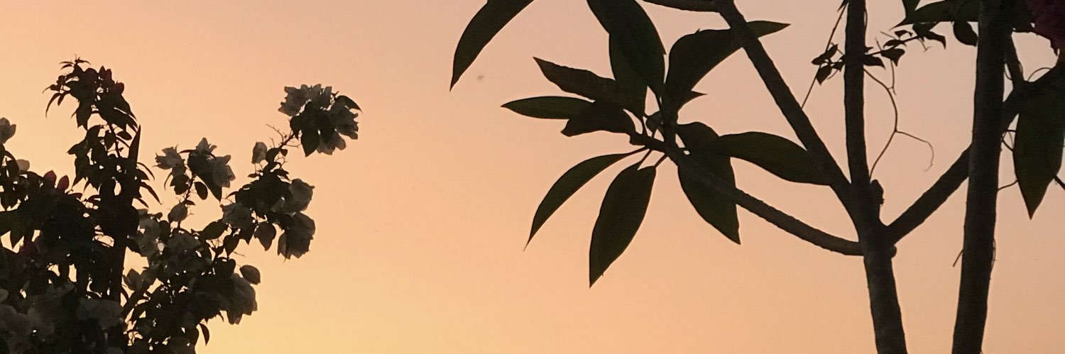 juanaeam's profile banner image