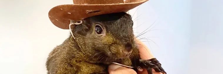 The Private Lounge banner