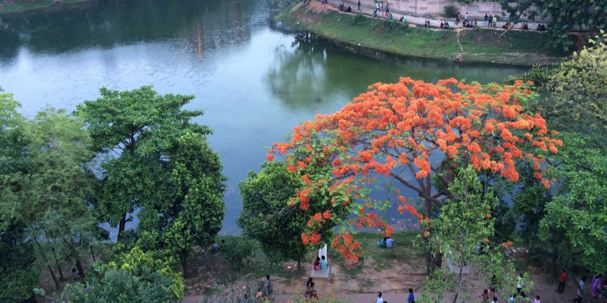 sumaiyahuda's profile banner image