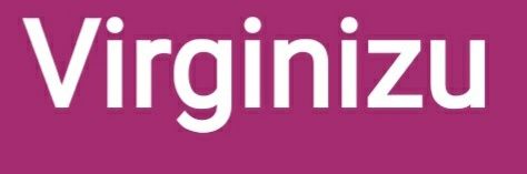 virginizu's profile banner image