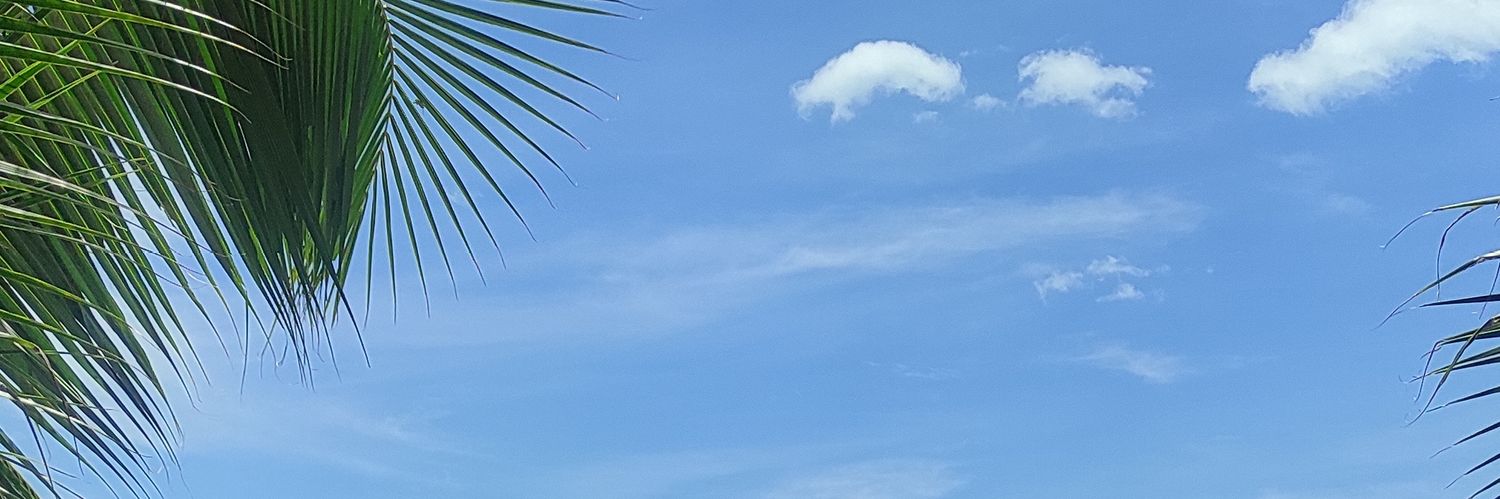 MaulikaLisa's profile banner image