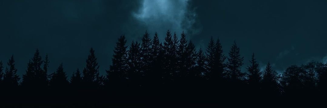 ladt_7ke's profile banner image