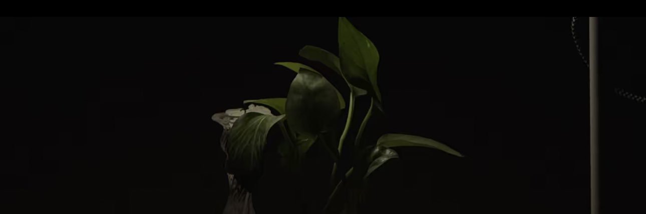 FAI | فيَّ🪄🎀 banner