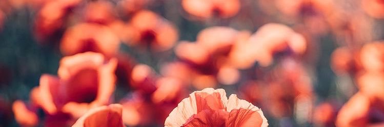 sigitishhh's profile banner image