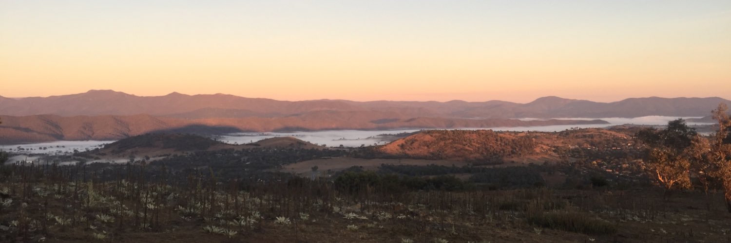 Michael Toohey banner