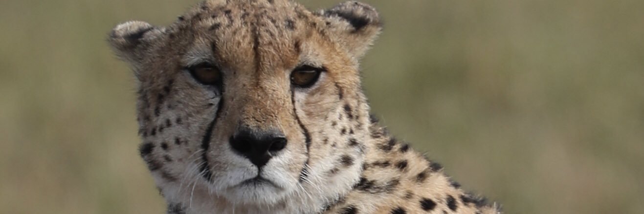 Le Ray Jean-Marc banner