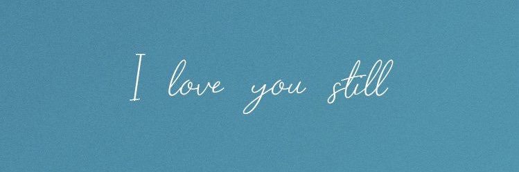 Pollyn banner