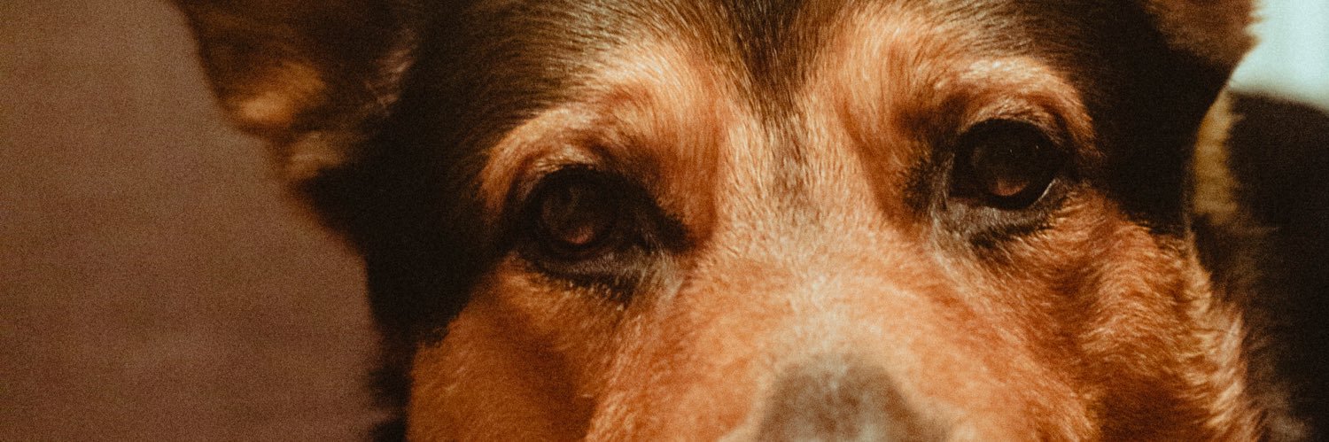 DS_Tucker21's profile banner image