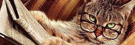 CINDY5820's profile banner image