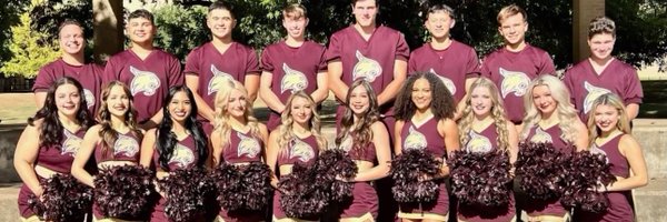 MegRox3 Profile Banner