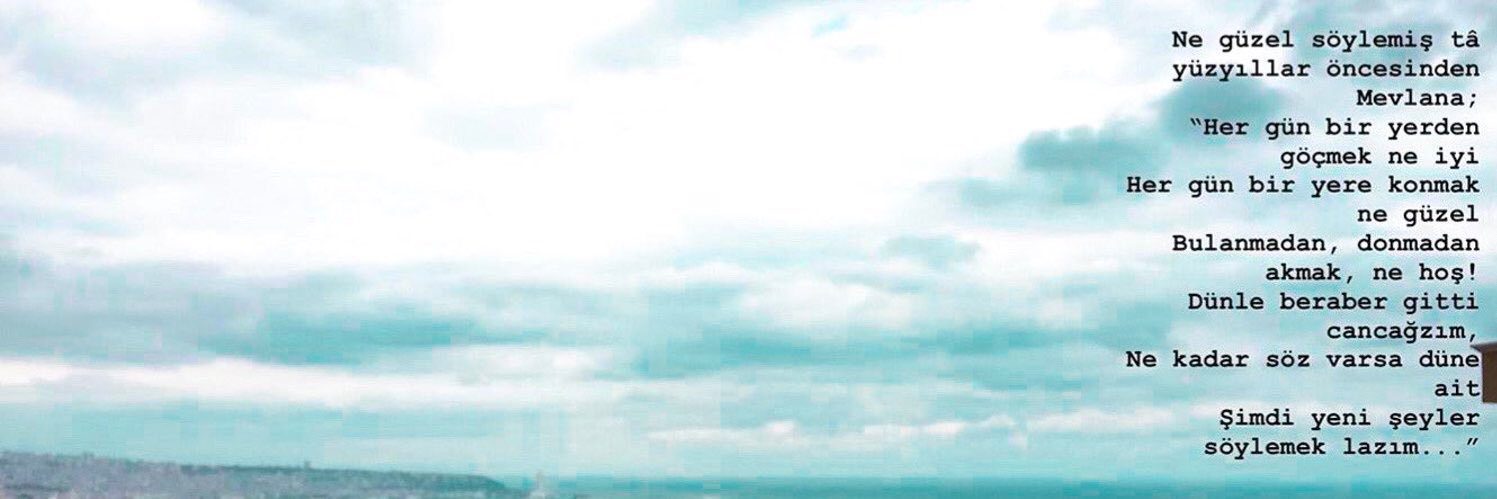 aleynaayyl's profile banner image