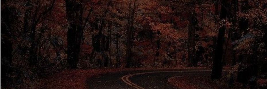 mialavin012's profile banner image