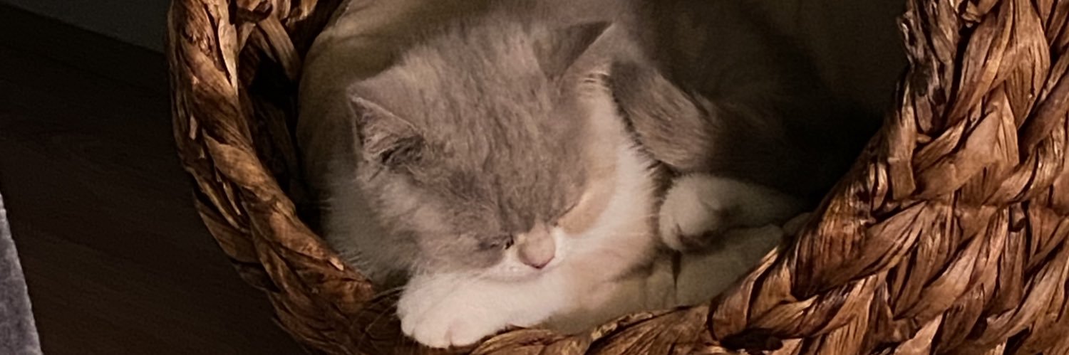 thisissal78's profile banner image