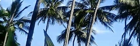 ritaorony's profile banner image