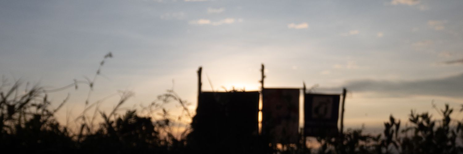 lavacaManuela's profile banner image
