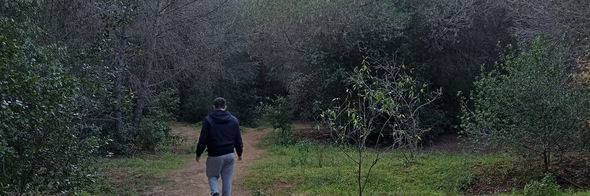 tosaus's profile banner image
