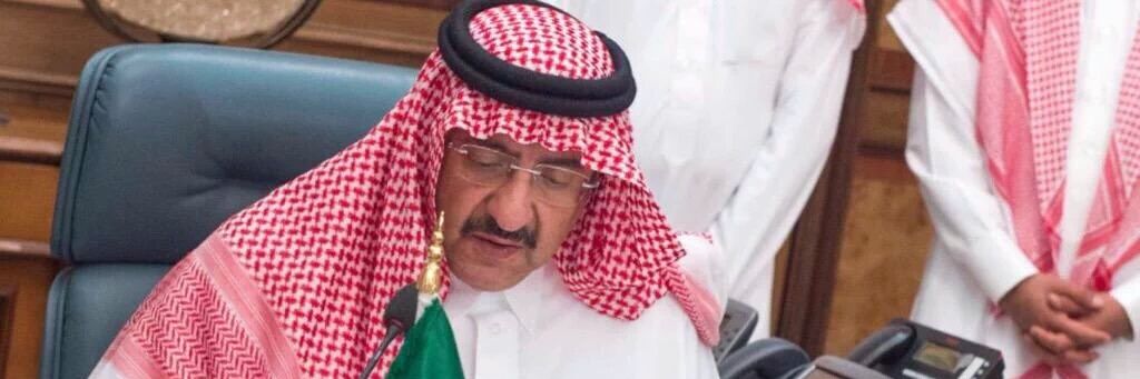 ديانا بنت نجر ♎ banner