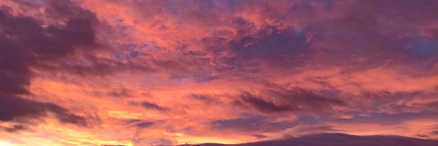 lolabragado's profile banner image