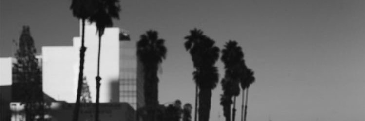 imm0rtalfroot's profile banner image