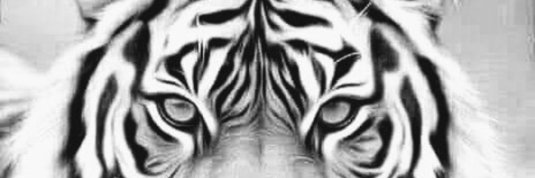 _gilangrei's profile banner image