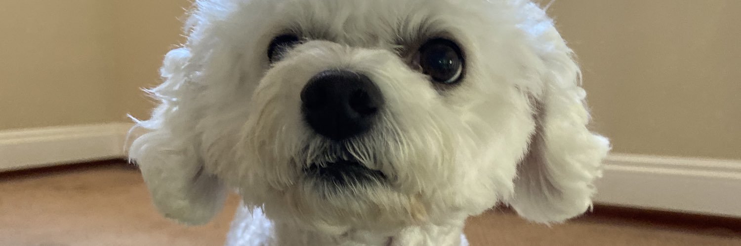 michelle ᡣ𐭩 banner